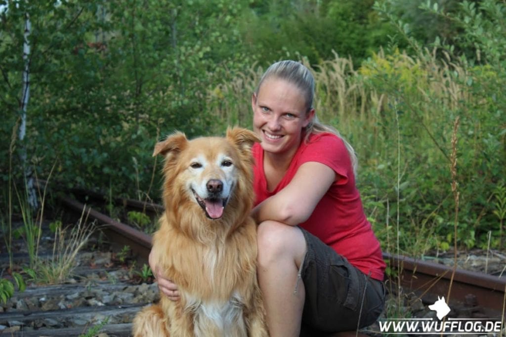 Hundeblog des Monats Mai 2017