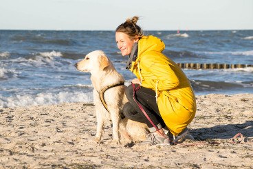 Hundeblog des Monats November 2017