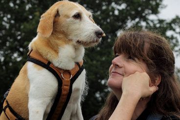Hundeblog des Monats September 2017