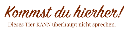 Kommst du hierher Logo
