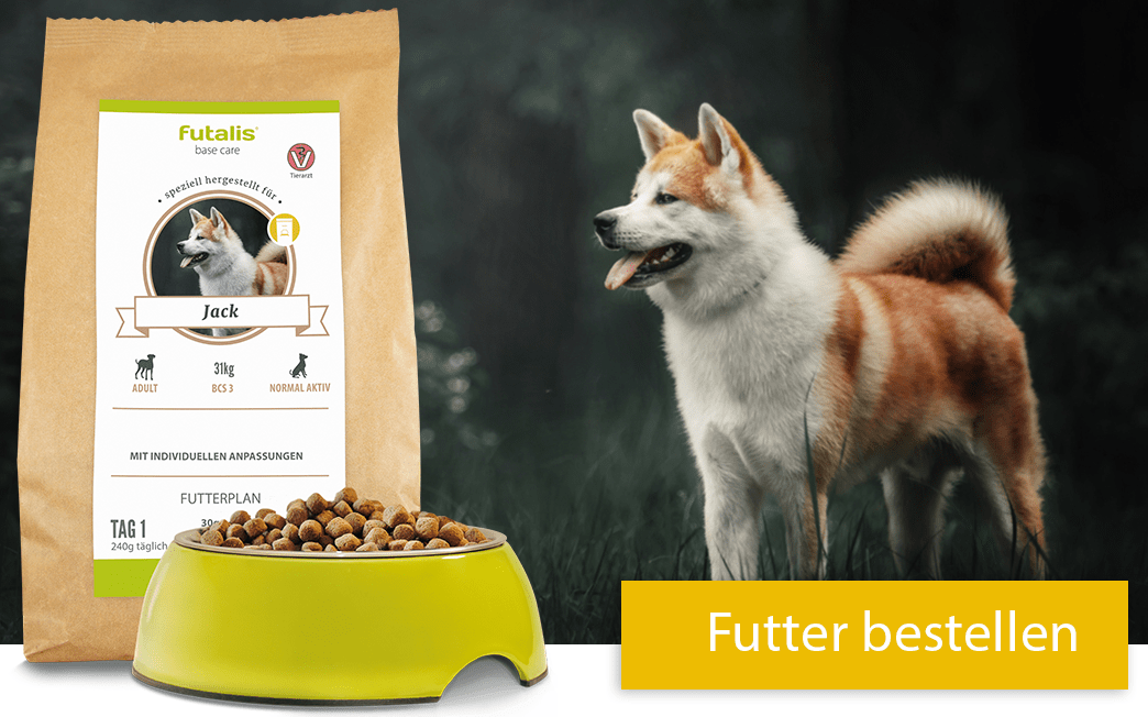 Bestes Hundefutter Für Herzkranke Hunde futalis.de