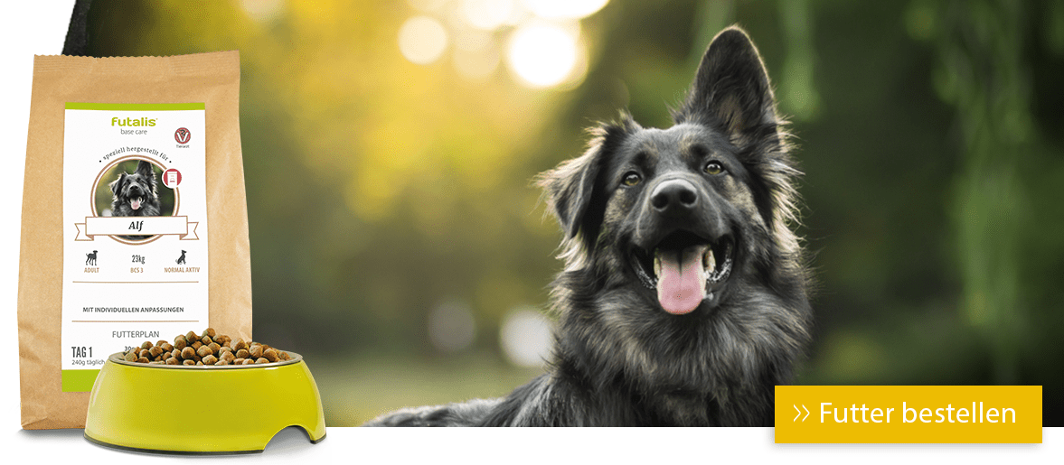 Leberdiät für Hunde bei Lebererkrankungen » futalis.de