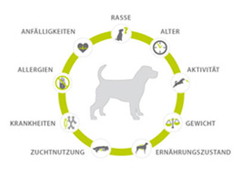 Futterkonzept von futalis futalis Futterkonzept