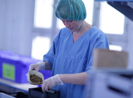 Unser Produktionsteam bei der Arbeit Das futalis Produktionsteam bei der Arbeit