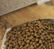 Aufbewahrung Hundefutter
